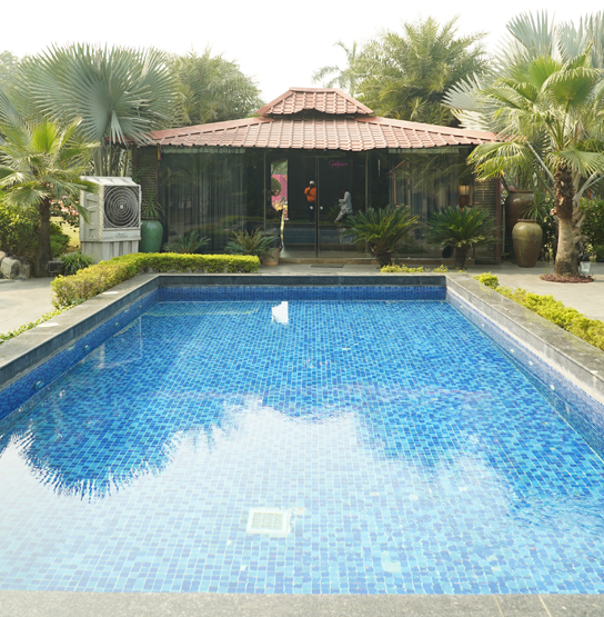 Pool Area