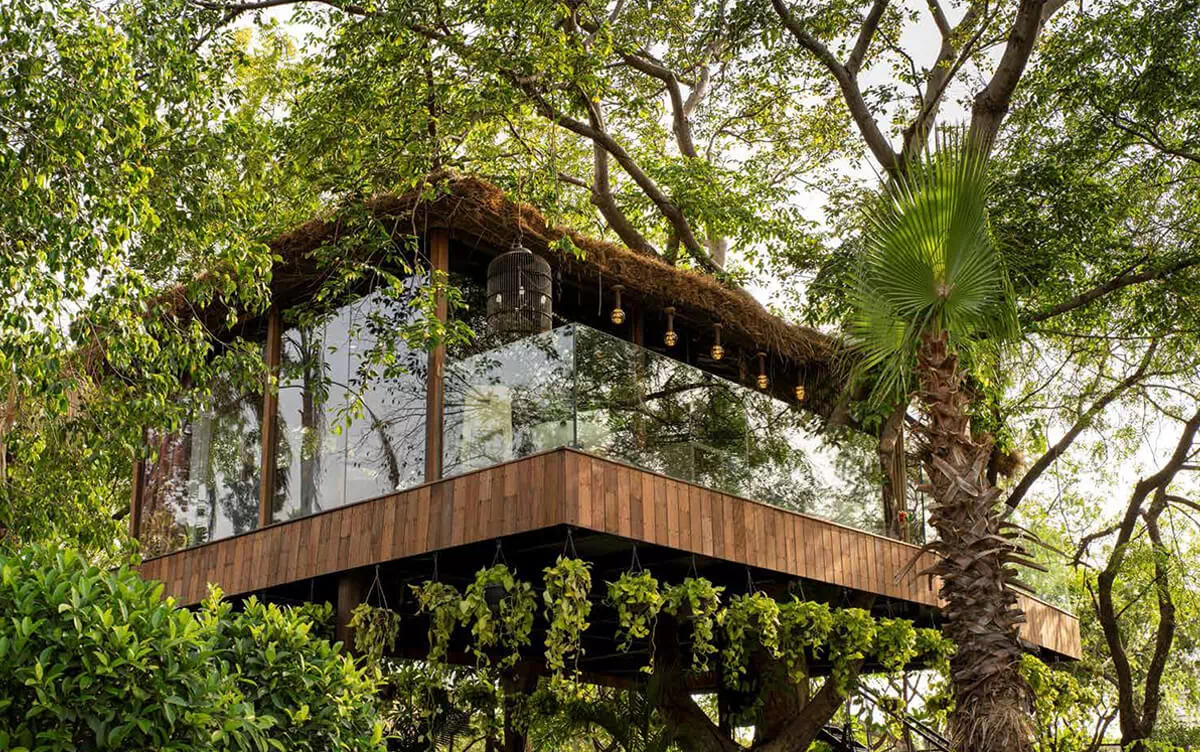 the treehouse 2