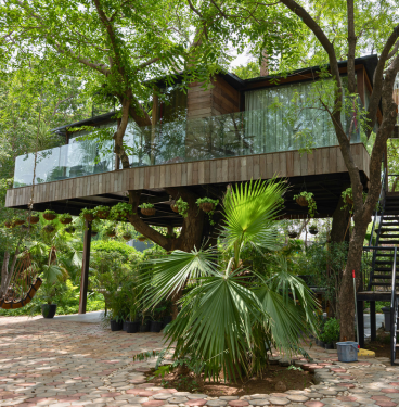 Discover the Magic of a Tree House Resort Near Delhi: A Unique Escape